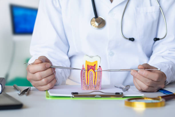 Best Broken Tooth Emergency  in Carnegie, PA